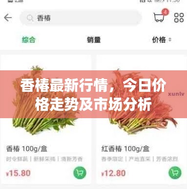 香椿最新行情，今日价格走势及市场分析