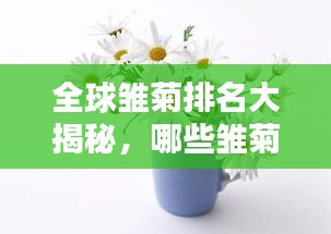 全球雏菊排名大揭秘，哪些雏菊独占鳌头？