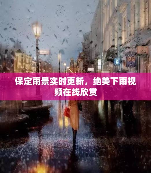 保定雨景实时更新，绝美下雨视频在线欣赏