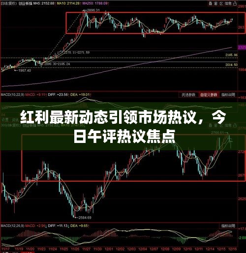 红利最新动态引领市场热议，今日午评热议焦点