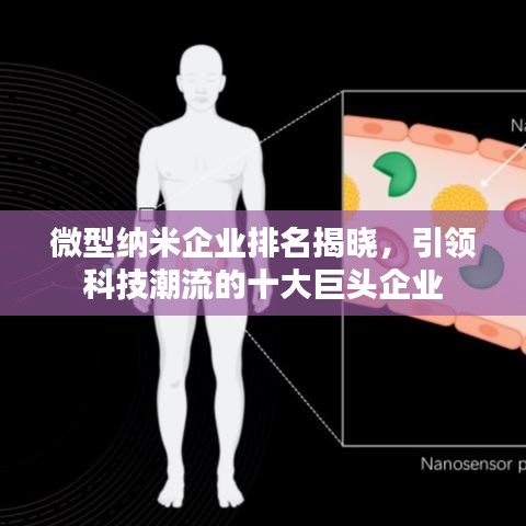 微型纳米企业排名揭晓，引领科技潮流的十大巨头企业