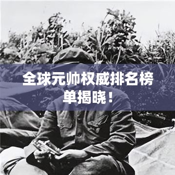 全球元帅权威排名榜单揭晓！