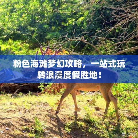 鸟惊鱼骇 第2页