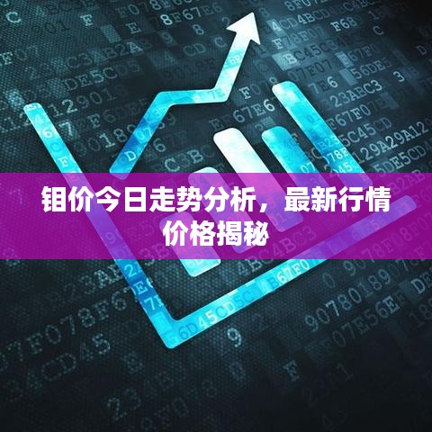 钼价今日走势分析，最新行情价格揭秘