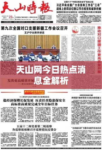 天山网今日热点消息全解析
