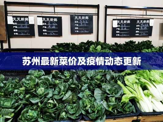 苏州最新菜价及疫情动态更新