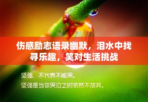 日就月将 第2页