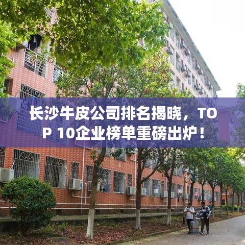 长沙牛皮公司排名揭晓，TOP 10企业榜单重磅出炉！