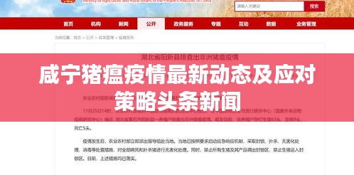 咸宁猪瘟疫情最新动态及应对策略头条新闻