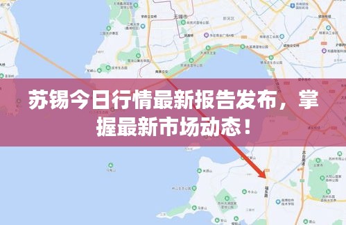 苏锡今日行情最新报告发布，掌握最新市场动态！