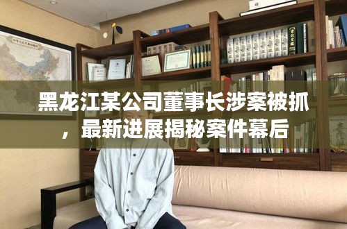 黑龙江某公司董事长涉案被抓，最新进展揭秘案件幕后