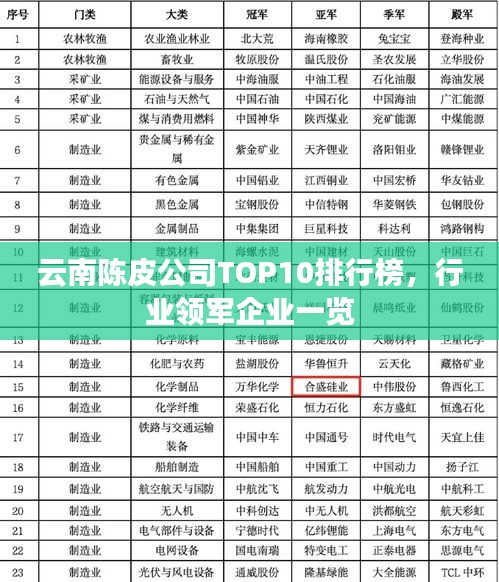 云南陈皮公司TOP10排行榜，行业领军企业一览