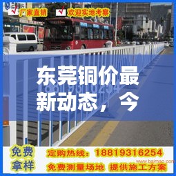 东莞铜价最新动态，今日行情一览