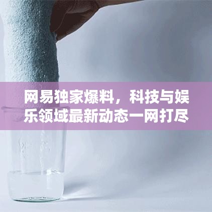 网易独家爆料，科技与娱乐领域最新动态一网打尽！