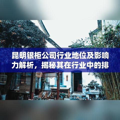 昆明银柜公司行业地位及影响力解析，揭秘其在行业中的排名与影响力