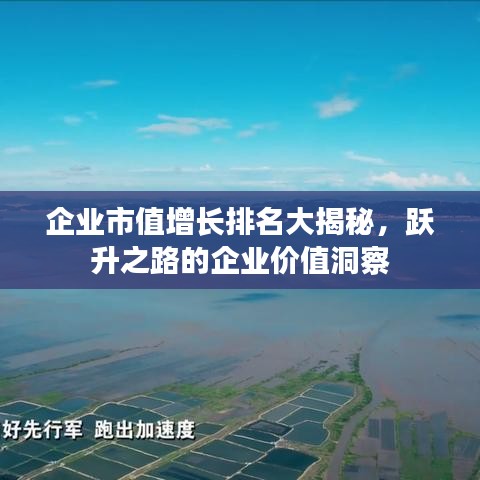 企业市值增长排名大揭秘，跃升之路的企业价值洞察