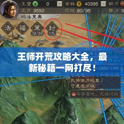 王师开荒攻略大全，最新秘籍一网打尽！