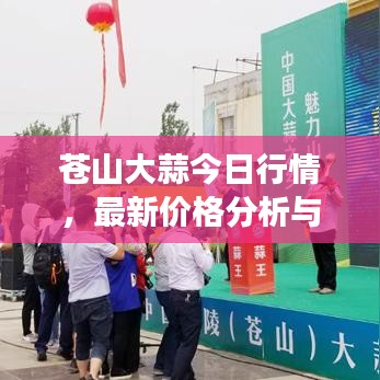苍山大蒜今日行情，最新价格分析与趋势解读