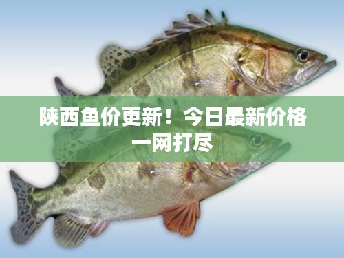 肝胆相照 第2页