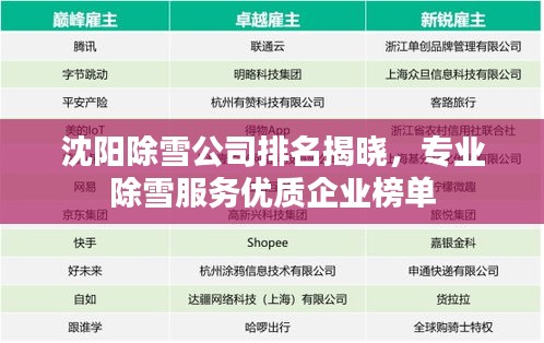 沈阳除雪公司排名揭晓，专业除雪服务优质企业榜单