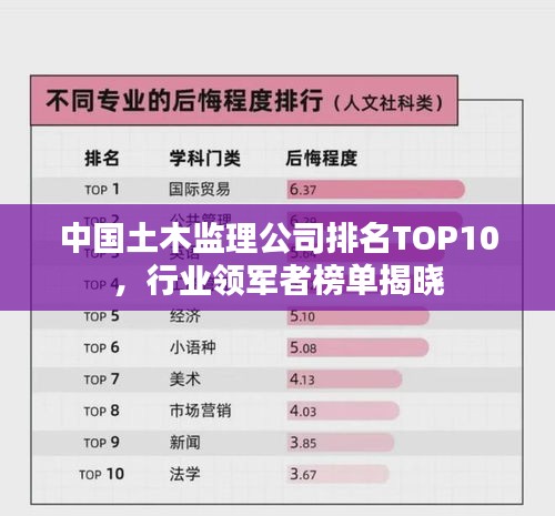 中国土木监理公司排名TOP10，行业领军者榜单揭晓