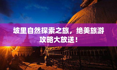 坡里自然探索之旅，绝美旅游攻略大放送！