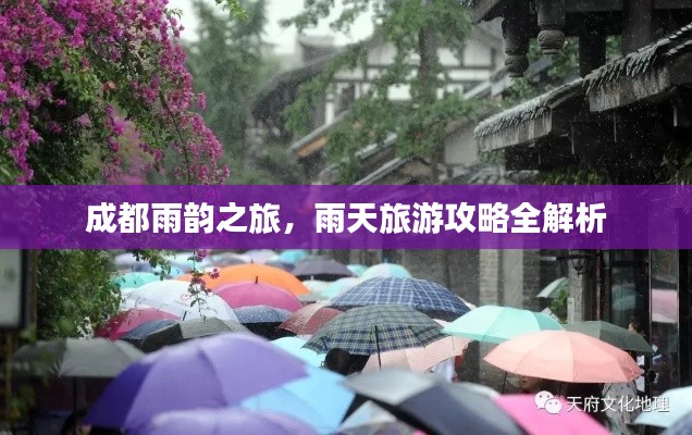 成都雨韵之旅，雨天旅游攻略全解析