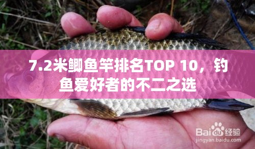7.2米鲫鱼竿排名TOP 10，钓鱼爱好者的不二之选