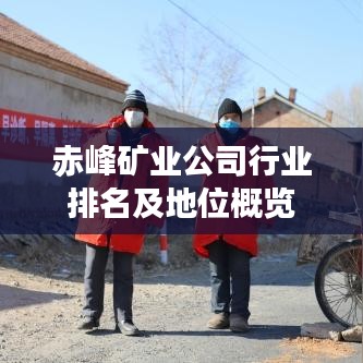 赤峰矿业公司行业排名及地位概览