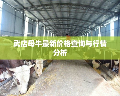 武店母牛最新价格查询与行情分析