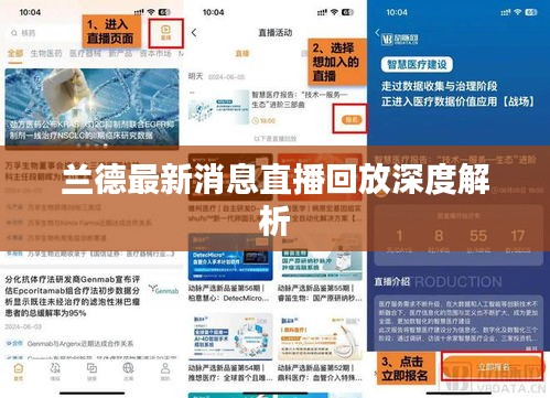 兰德最新消息直播回放深度解析