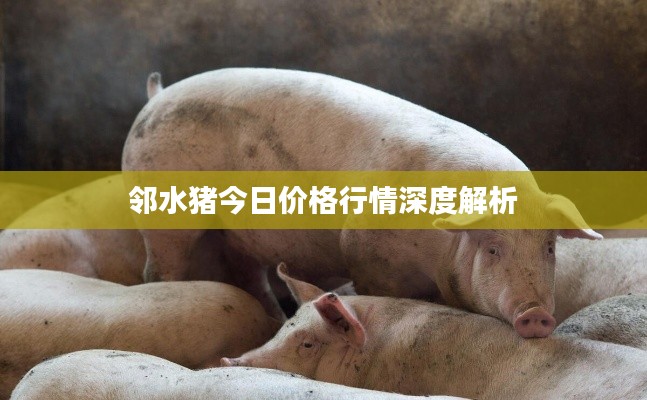 邻水猪今日价格行情深度解析