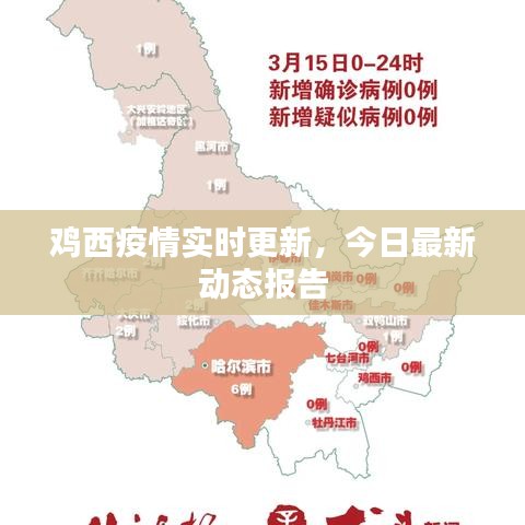 鸡西疫情实时更新，今日最新动态报告