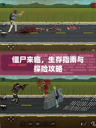 僵尸来临，生存指南与探险攻略