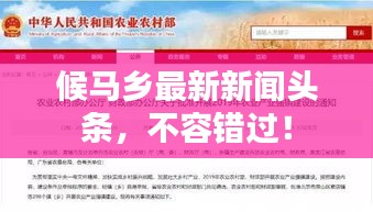 候马乡最新新闻头条，不容错过！
