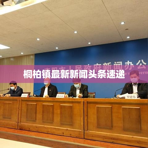 桐柏镇最新新闻头条速递