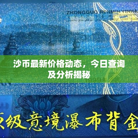 沙币最新价格动态，今日查询及分析揭秘