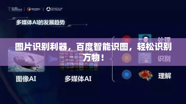 图片识别利器，百度智能识图，轻松识别万物！