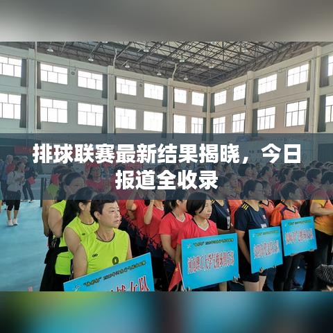 排球联赛最新结果揭晓，今日报道全收录