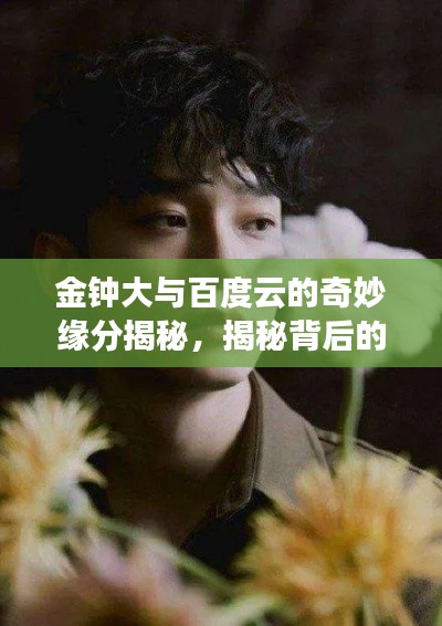 金钟大与百度云的奇妙缘分揭秘，揭秘背后的故事！