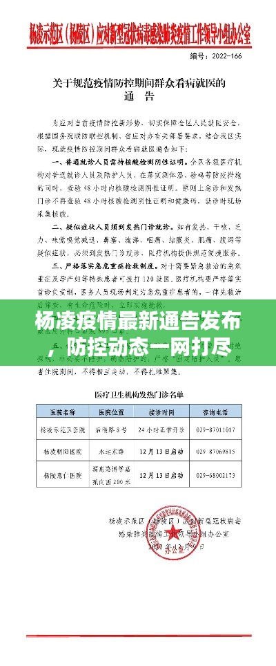 杨凌疫情最新通告发布，防控动态一网打尽