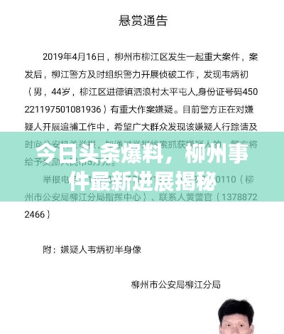 今日头条爆料，柳州事件最新进展揭秘