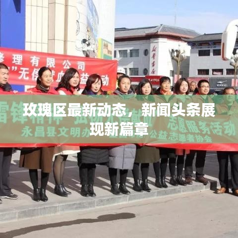 玫瑰区最新动态，新闻头条展现新篇章