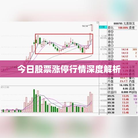 箪瓢陋巷 第2页