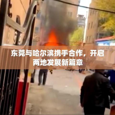 东莞与哈尔滨携手合作，开启两地发展新篇章