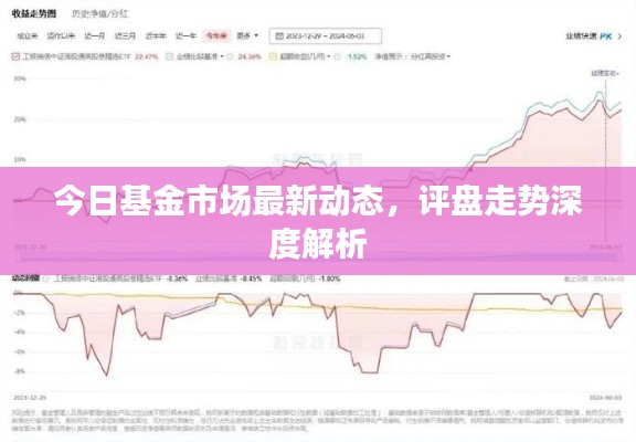 今日基金市场最新动态，评盘走势深度解析