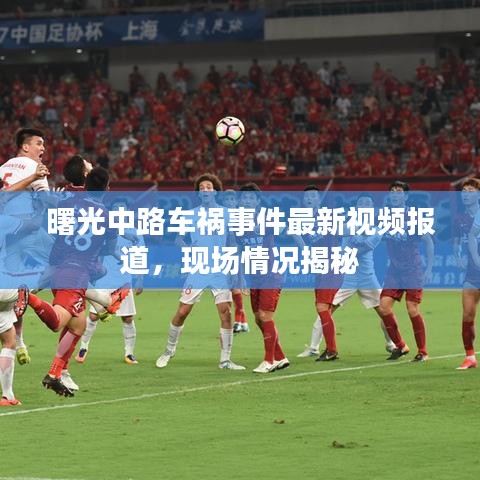 曙光中路车祸事件最新视频报道，现场情况揭秘