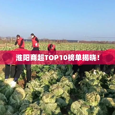 淮阳商超TOP10榜单揭晓！