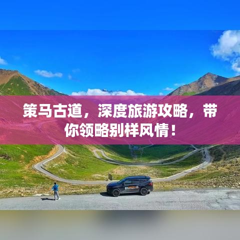 策马古道，深度旅游攻略，带你领略别样风情！