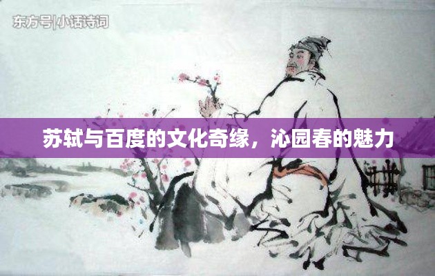 苏轼与百度的文化奇缘，沁园春的魅力